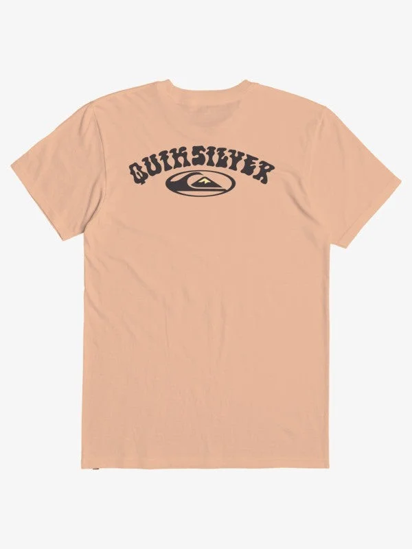 Men's eco-conscious t-shirt-Quiksilver Men's T-Shirts Short Sleeve