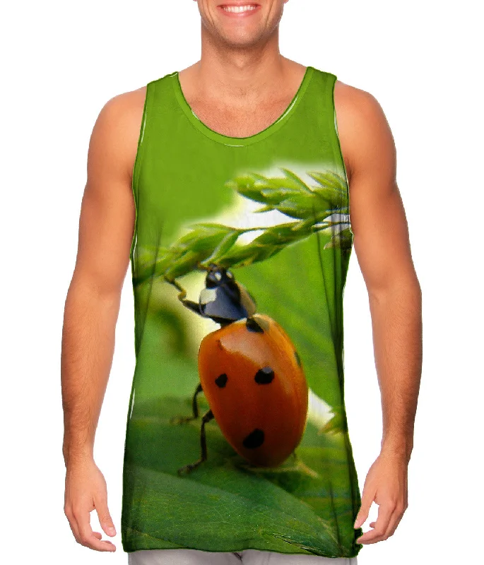 Pull Ups Ladybug